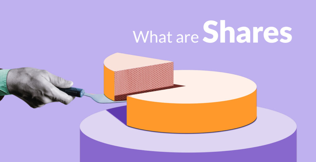 What are Shares and Types of Shares?